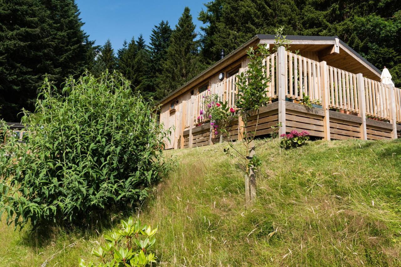 פיטלוצ'רי Tayview Lodges מראה חיצוני תמונה